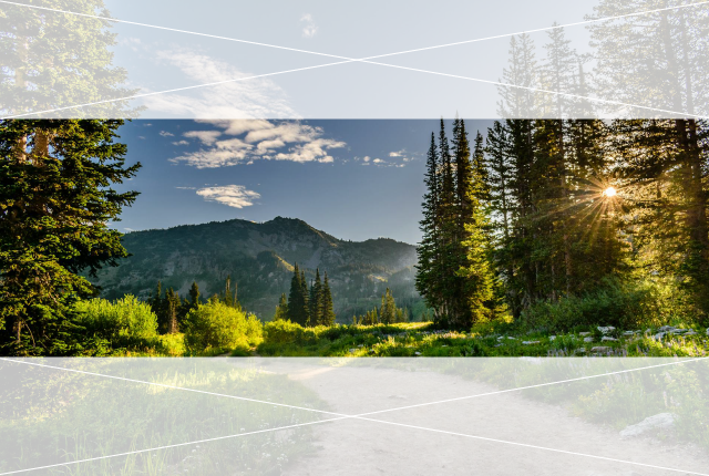 La fotografía de naturaleza se muestra recortada a una relación de aspecto de 3:1.