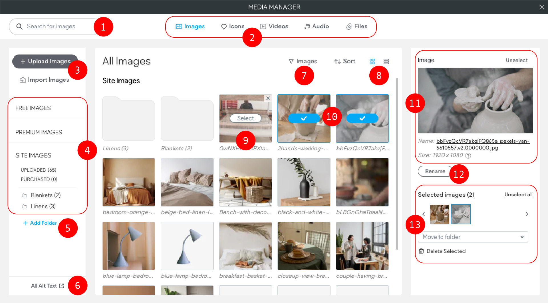 Apri il gestore dei contenuti multimediali. Sul lato sinistro c'è un elenco di cartelle. Al centro ci sono righe di immagini. Sul lato destro, si visualizzano i dettagli dell'immagine selezionata.