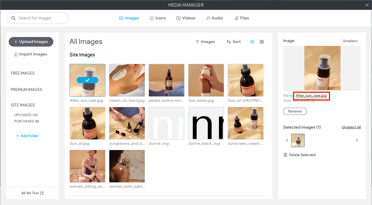 Lato destro del gestore multimediale con un'immagine selezionata. Il nome del file immagine è selezionato.